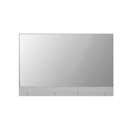Монитор LG 55EW5G