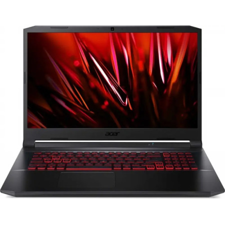 Ноутбук Acer Nitro 5 AN517-42 (NH.QG4ER.009)