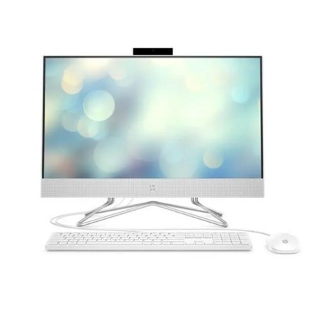 Моноблок HP 24-df1062ny (4X5D8EA)