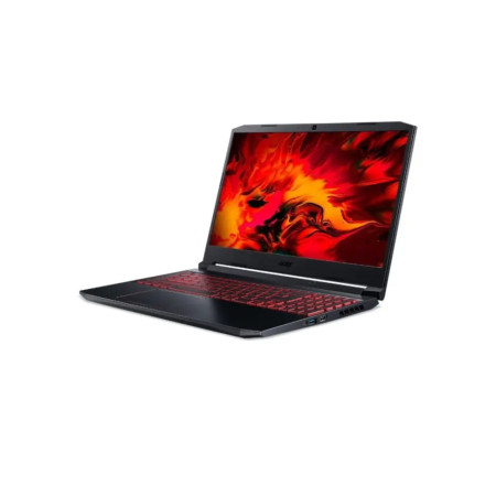 Ноутбук Acer Nitro 5 AN515-55-534C (NH.QB0ER.007)