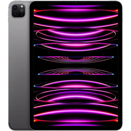 Планшет Apple iPad Pro 11 (2022) M2 128Gb Wi-Fi + Cellular Space gray (MP553LL/A)