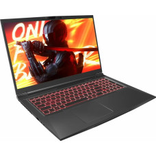Ноутбук Maibenben X725 (X725FSFNLBRE0)