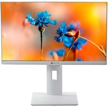 Моноблок Тесла P24WP (P24WP 3116500)