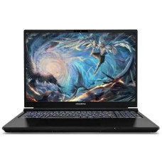 Ноутбук Colorful EVOL X16 Pro 23 (A10205400060)