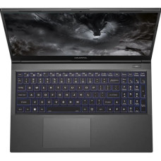 Ноутбук Colorful X15 XS 22 (A10205400040)