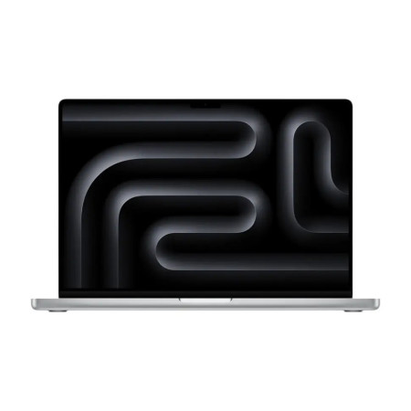 Ноутбук Apple MacBook Pro 16 2024 (MX303ZP/A)