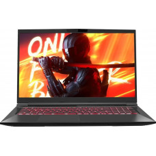 Ноутбук Maibenben X17A (X17A-R56035FFSLBRE0)