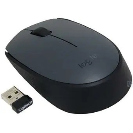 Мышь Logitech M170 grey/black (910-004658)