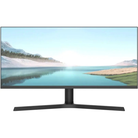 Монитор NPC MZ300L