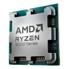 Процессор AMD Ryzen 9 9900X3D OEM (100-000001368)