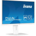 Монитор Iiyama ProLite XUB2497HSU-W2