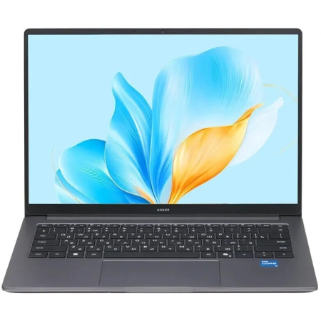Ноутбук Honor MagicBook X14 2025 (FRG-X) (5301ALWJ)