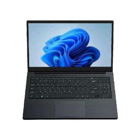 Ноутбук Rikor SPB 15 ar5425U 1xM.2/256gb-1x8gb