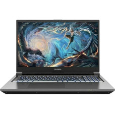 Ноутбук Colorful EVOL X15 AT 23H1 (A10205400042_32)