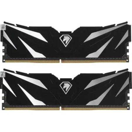 Оперативная память Netac Shadow II Black (NTSWD4P32DP-16K)