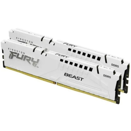 Оперативная память Kingston KF552C40BWK2-64