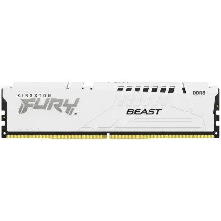 Оперативная память Kingston KF556C36BWE-32